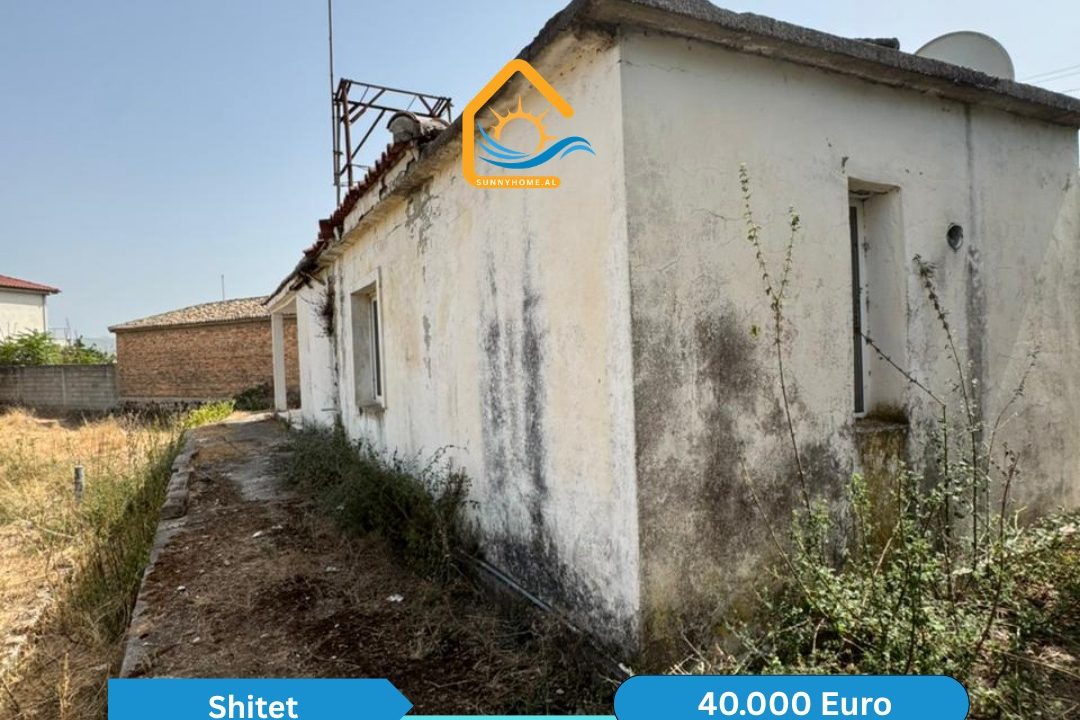 WhatsApp Image 2026-10-13 at 7.10.13 PM